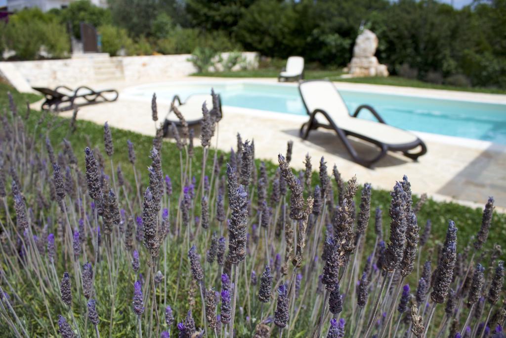 Antica Aia B&B Cisternino Chambre photo